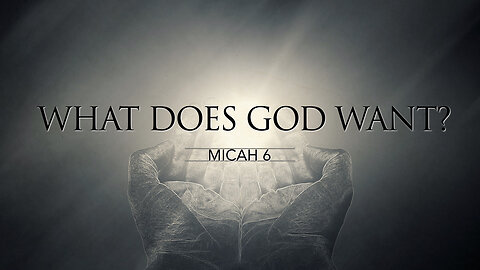 Ok God, What Do You Want From Me? - Fourteenth Sunday After Trinity