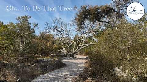 Ada Alien Queen • Ada Walks • Take # 00004 • Oh…To Be That Tree