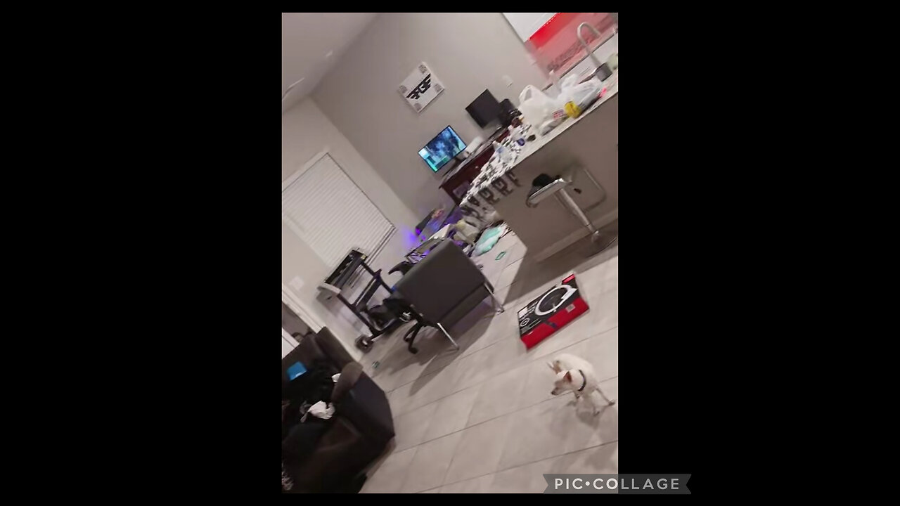 DIAMOND DESTROYS FINNESE AIRBNB & PROPERTY! BIGO LIVE