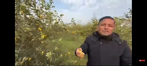 Lemon aur chilli ka achar