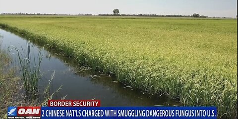 BORDER SECURITY: CHINESE NATIONALS,MIGHIGAN, ALABAMA ILLEGALS
