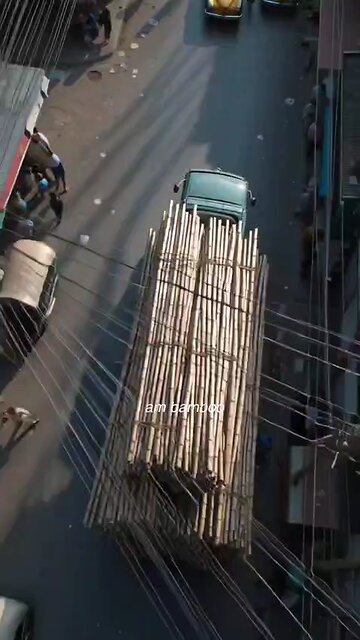 Story of Bamboo in Bengali