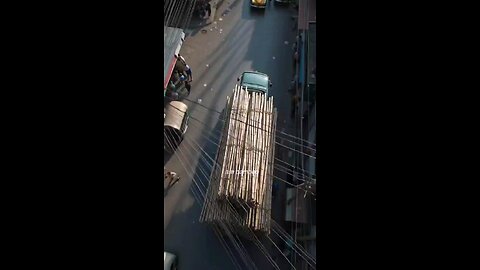 Story of Bamboo in Bengali