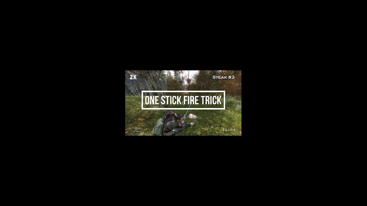 1 Stick Fire Trick DayZ PS5
