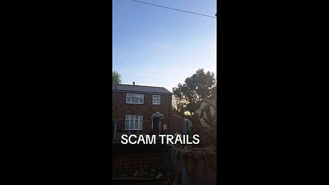 SCAM TRAILS