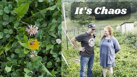 Growing More Than Food