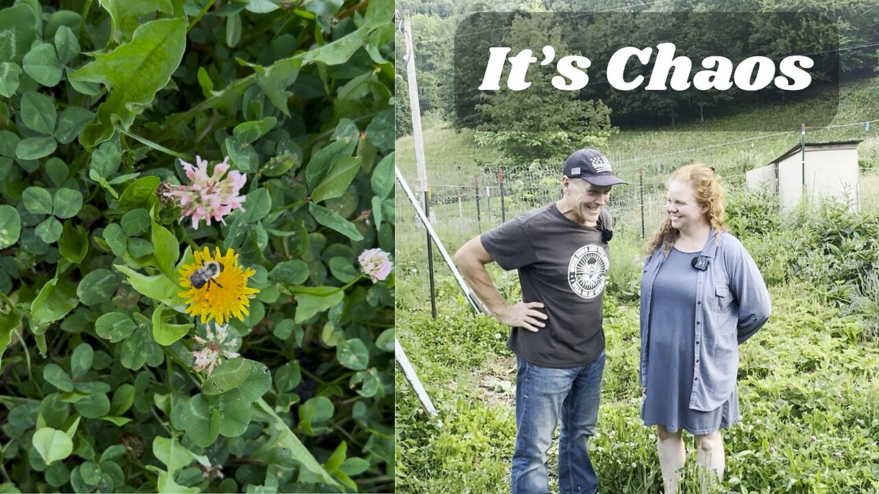 Growing More Than Food