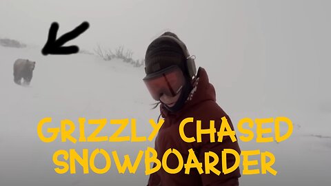 SHOCK!!! The girl was miraculously not torn apart by a GRIZZLY