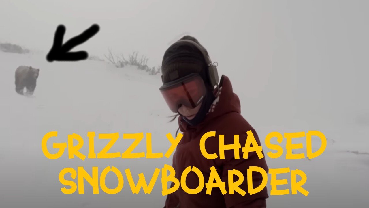 SHOCK!!! The girl was miraculously not torn apart by a GRIZZLY