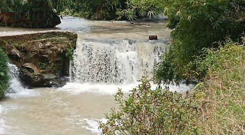 Viral River Natural Baths Part 13