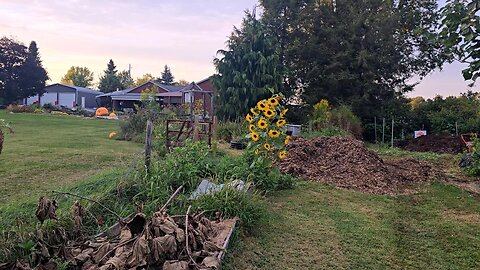 Pumpkin Patch WINTER PREP! // Whitt Acres