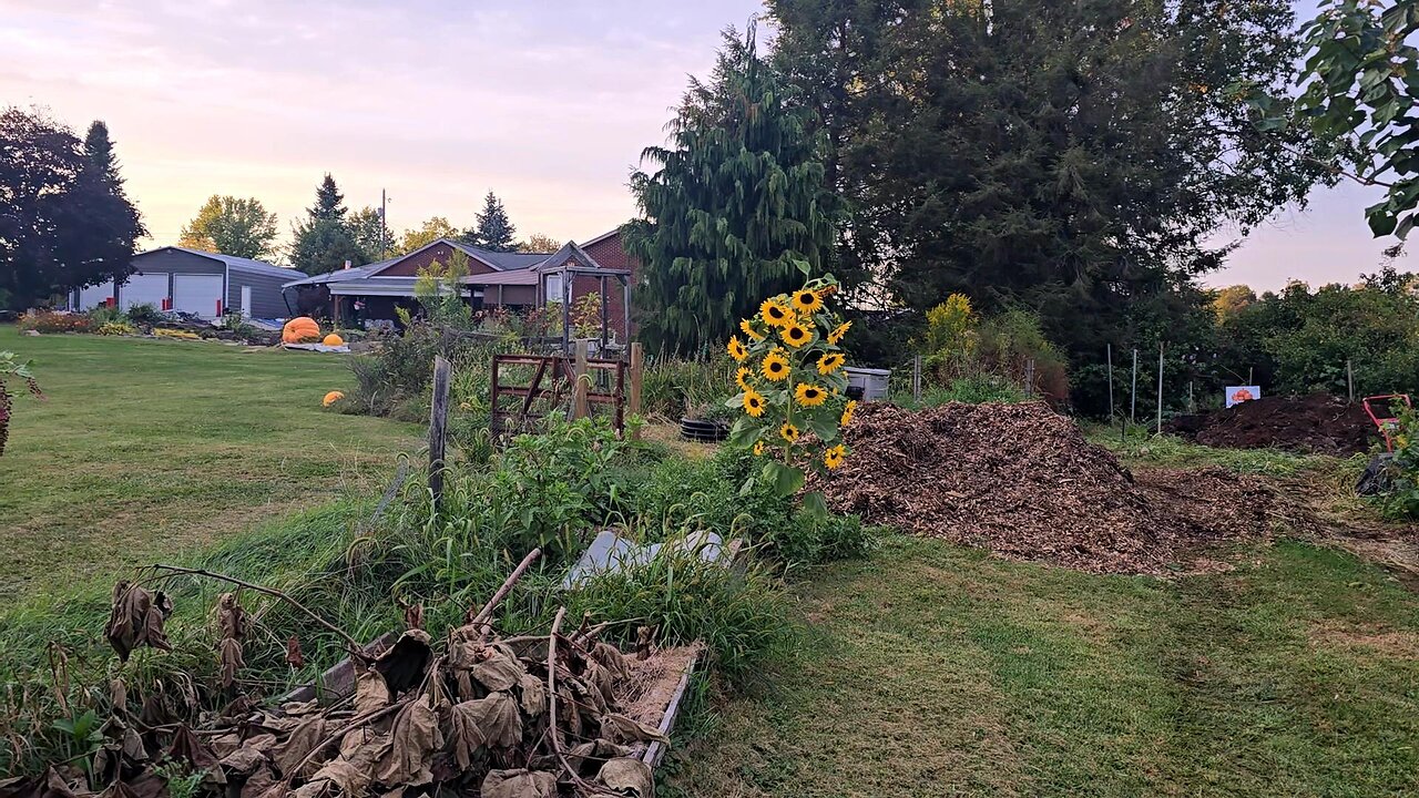 Pumpkin Patch WINTER PREP! // Whitt Acres