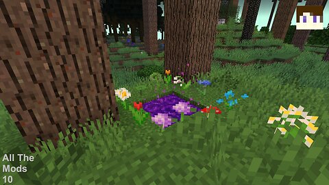 All The Mods 10 Episode 9-Naga & Litch