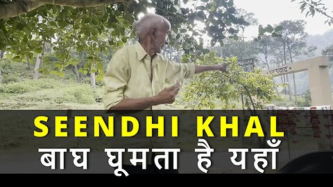 Life In SEENDHI KHAL बाघ घूमता रहता है यहाँ #canada🍁#uttrakhand #dugadda #rawat #samratbharat