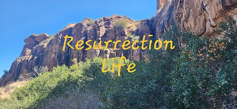 Ressurection Life