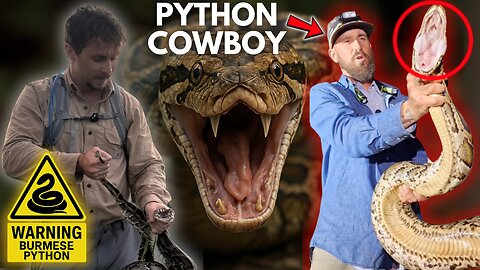 Python Hunting In The Everglades Presented By Four Loko