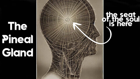 You Possess Unrealized Power