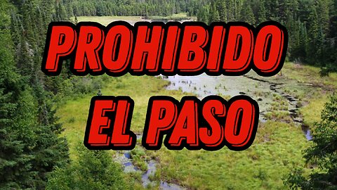 Nova Escocia, Canadá, prohíbe el ingreso a sus impresionantes bosques con multas de 25k mil dólares.