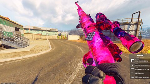 Call of Duty Warzone - Back 2 Back 2nd Place on Verdansk!