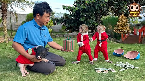 Touching! YiYi and YinYin buy a special gift for grandpa for Christmas