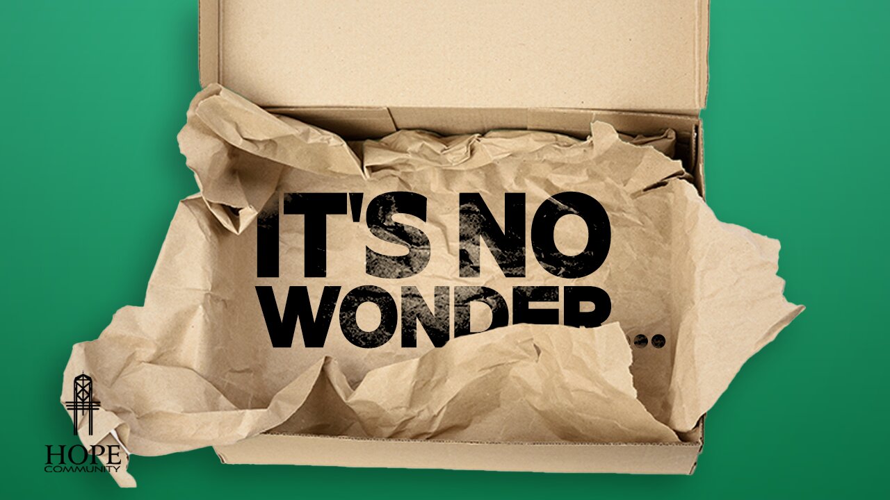 It’s No Wonder…