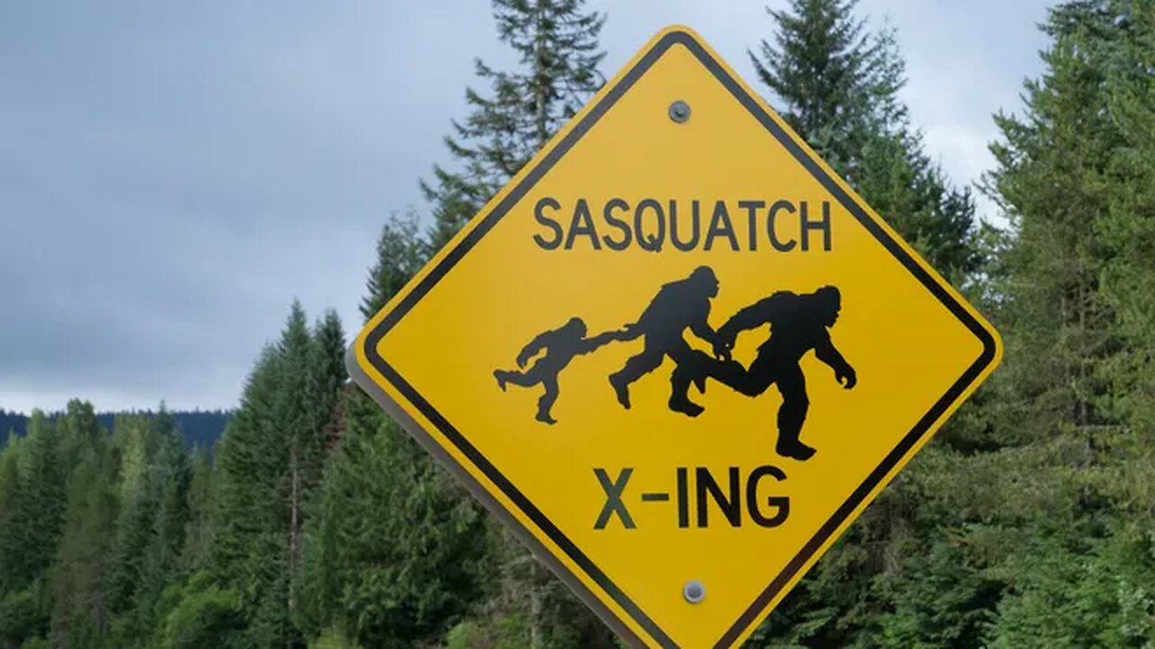 {REPOST} I GUESS WE ALL BELIEVE IN THE SASQUATCH MORE THAN CHEMTRAILS AND THE ILLUMINATI!