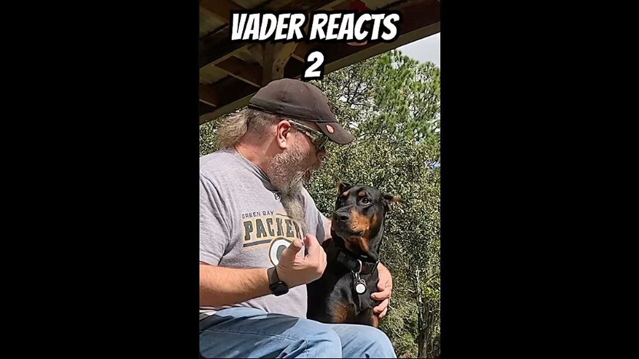 Doberman Reacts to Dad Jokes: Episode 2 - Vader’s Sassy Side-Eye to Elephant & Golfer Puns!