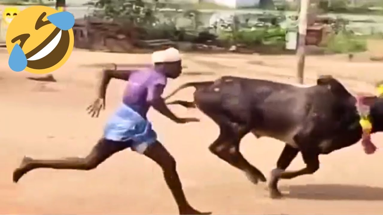 TRY NOT TO LAUGH 🤣🤣 Best Funny Videos compilation - Fails & Hilarious Moments 😂 P16