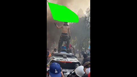 LA Protester Flag | Green Screen
