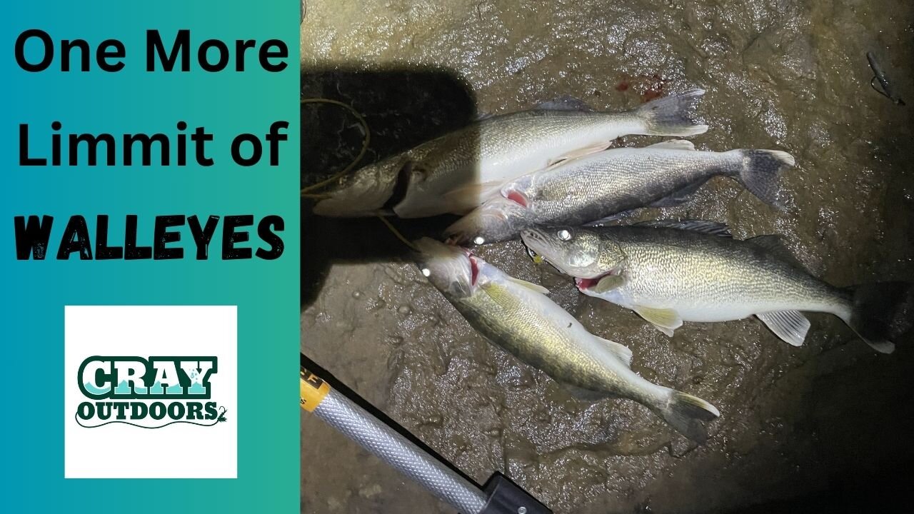 One Last Walleye Limit! (December 2023)