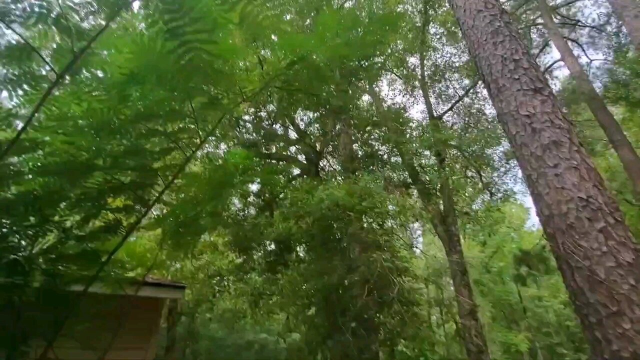 Walking The Land - Homestead Tour