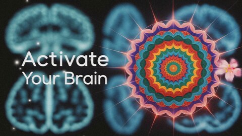 The Mandala Effect: Visual Meditation, Opening Patterns, and Brain Coherence