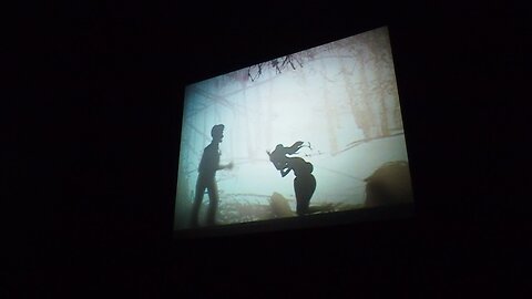 SHADOW PLAY