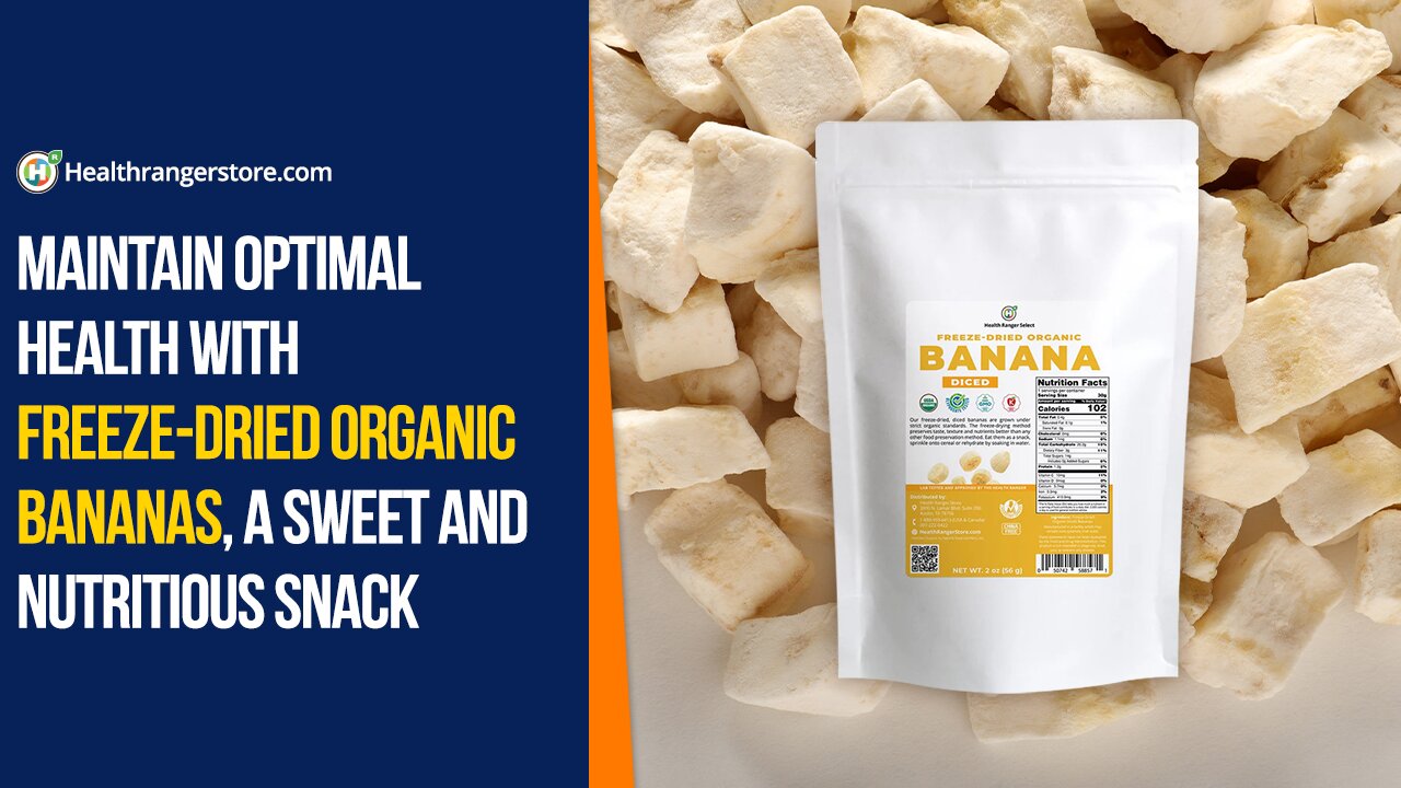 Maintain optimal health with Freeze-Dried Organic Bananas