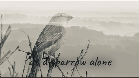 Overhearing Heaven’s Conversation in Psalm 102 (Full Song)
