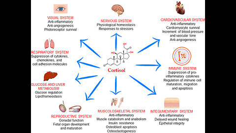 Hormones & Stress, Digestion & Thyroid, Adrenals & Survival - diabetes, immune challenges & more!