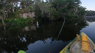 I Was Asked to Leave My Honey Hole