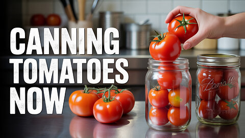 Preserve Your Homegrown Tomatoes Like a Pro!