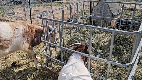 Graham Family Farm: 9:20 AM April 21 2025