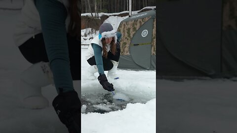 This Is the Coolest Winter Camping 🧊🔥 #camping #survival #bushcraft #outdoors #lifehack