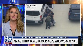 DHS Official: We Won't Stand For Democrats Exploiting ICE for Fame