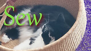 Sew Sunday Silke and Slippery || Stitch & B*