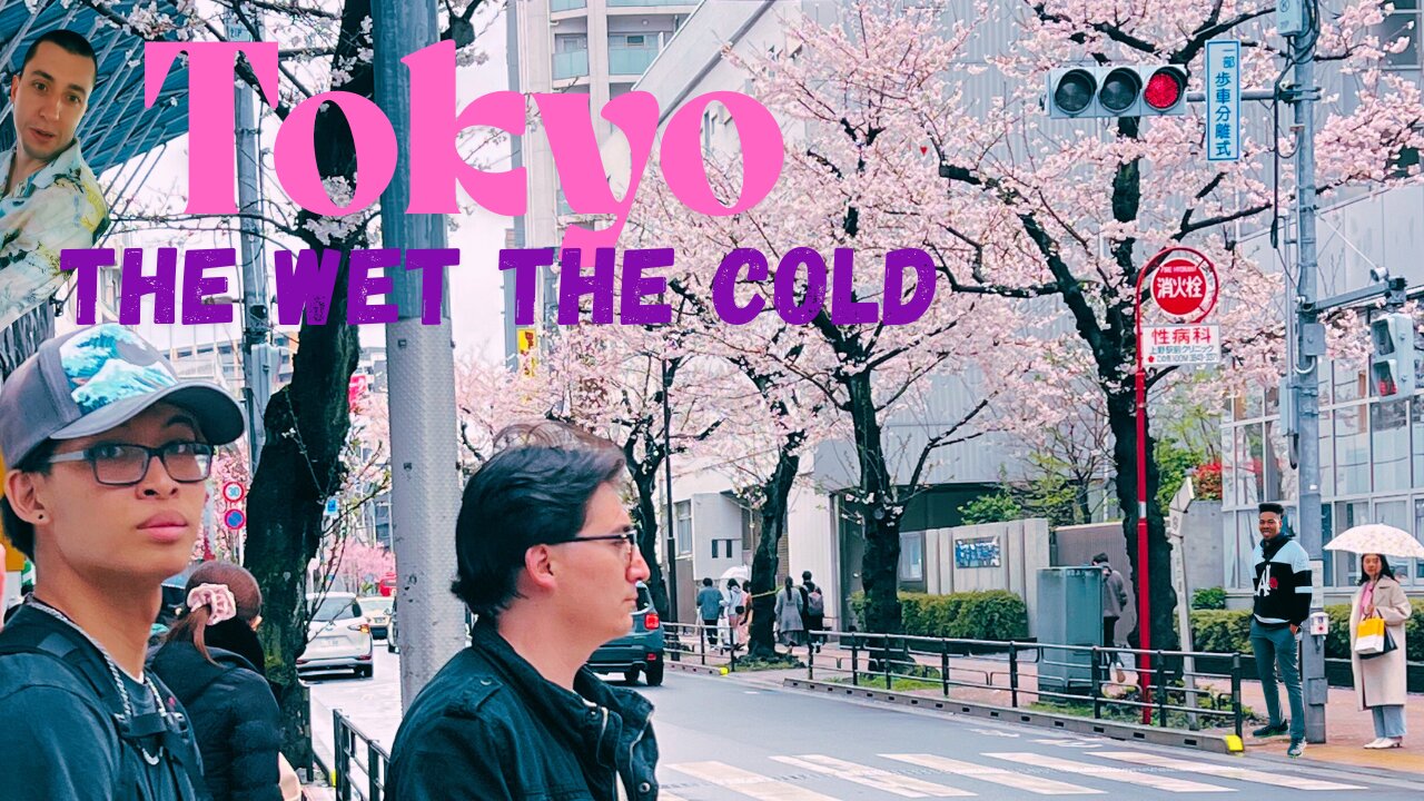 It's Cold - Japan Day 5