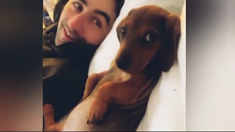Animals funny video Must laugh