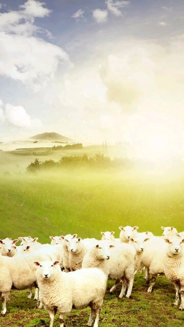 Deliverance Doesn’t Begin with the Mind—It Begins with God