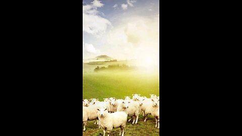 Deliverance Doesn’t Begin with the Mind—It Begins with God