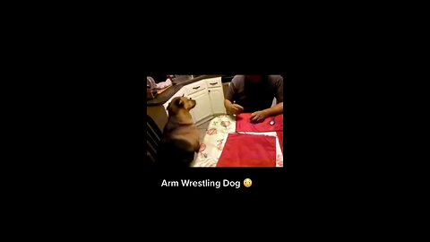 Smart Dog