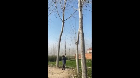 Biggest Failure Comedy-1