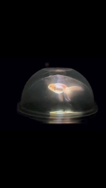 Is The Moon Just A Projection Of The Dome?