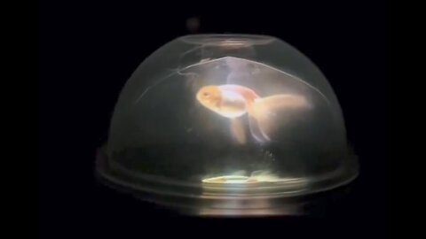 Is The Moon Just A Projection Of The Dome?